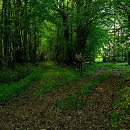 Domaine Moulin De Boiscorde 1H45 Paris Panzió Rémalard Kültér fotó